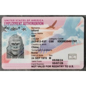 Employment Authorization Card