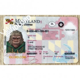 Maryland scannable card