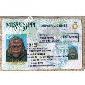 Mississippi scannable card